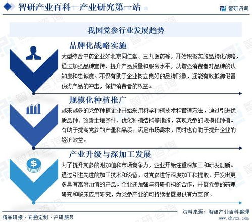 黨參行業(yè)分析報(bào)告 市場規(guī)模、供需態(tài)勢、競爭格局及投融資動(dòng)態(tài)解析