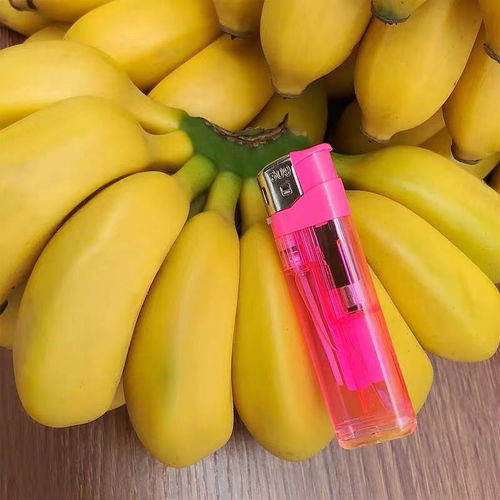 貴州糯米香蕉 一咬難忘的甜美農業之旅
