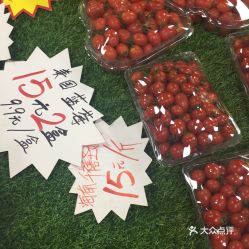 順德區美食與新鮮水果批發攻略